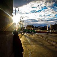 Lindsey Carlson的照片