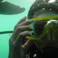 renata bellone的照片