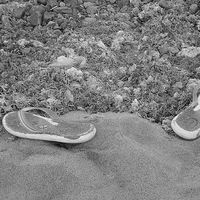 Elodie Misrahi's Photo