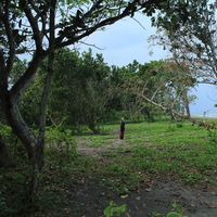 Fotos de Lilli  Potter