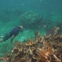 Gerardo Camilo's Photo