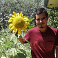 Diego Medina的照片