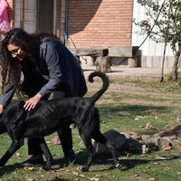 IVIahsa Ashm的照片