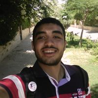 Mo'men Amin的照片