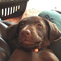 Фотографии пользователя Alan Scott