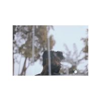 Abhineet Grover的照片