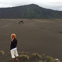 Le foto di Alex Victor