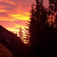 Jennifer Ford's Photo