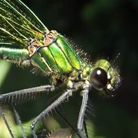 OféeLit OOfly's Photo