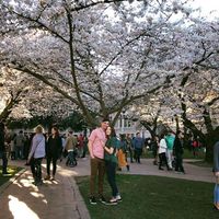 Felipe Contreras's Photo