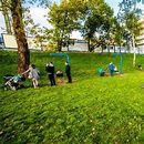 Foto de Picnic in the Park