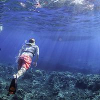 Mickey Hamel's Photo