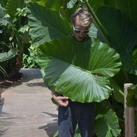 martin levardy的照片