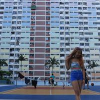 Chowchow Carey's Photo