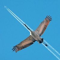 Oksana Kosyk的照片