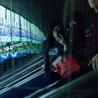 Stephen Wallace的照片