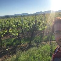 Javad Nasirov的照片