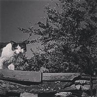 Alberto Paredes的照片