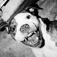 Robb Goldsmith's Photo