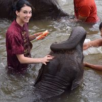 Kate Wilson的照片