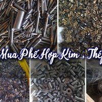 hopkimbaominh com的照片