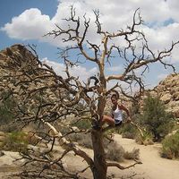 Fotos von Michele Ben Ahmed