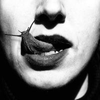 Le foto di Michele Dylan