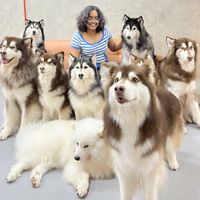 Bhavya Vemulapalli的照片