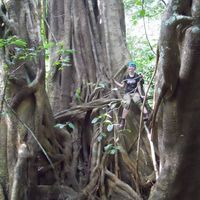 Johanna Reichert's Photo