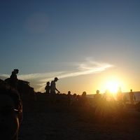 Fotos de Alexandre Alexandre