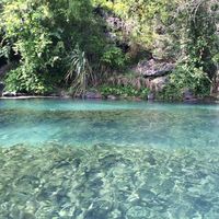 Tracy Nguyen's Photo