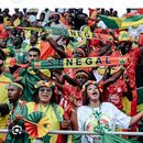 Senegal   Vs Morocco 🏆's picture