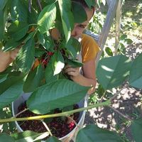 Madeleine Collard的照片