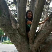 Photos de Cherrie Wang