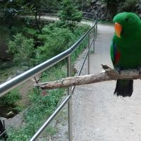 Javier Robotham的照片