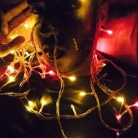 Fathi Shady的照片