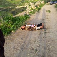 Riad Al-Nashashibi's Photo