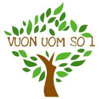 Vườn Ươm  Số 1's Photo