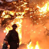 Dusty Rhodes's Photo