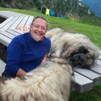 Mario Giavotto's Photo