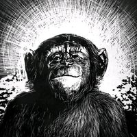 Фотографии пользователя Pablo Nieva