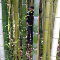 Raffaele Bua's Photo