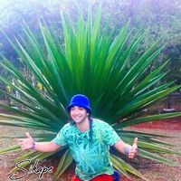 Diego Sikape的照片