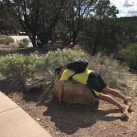 David DeMateo的照片