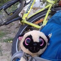 Yulia Ivanova的照片