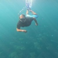 Guillermo Lira's Photo