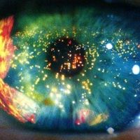 Charlie San的照片