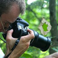 Mike D Gualdoni的照片