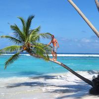 Photos de Mark Reynold