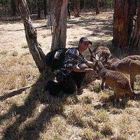 Karlheinz Meister's Photo